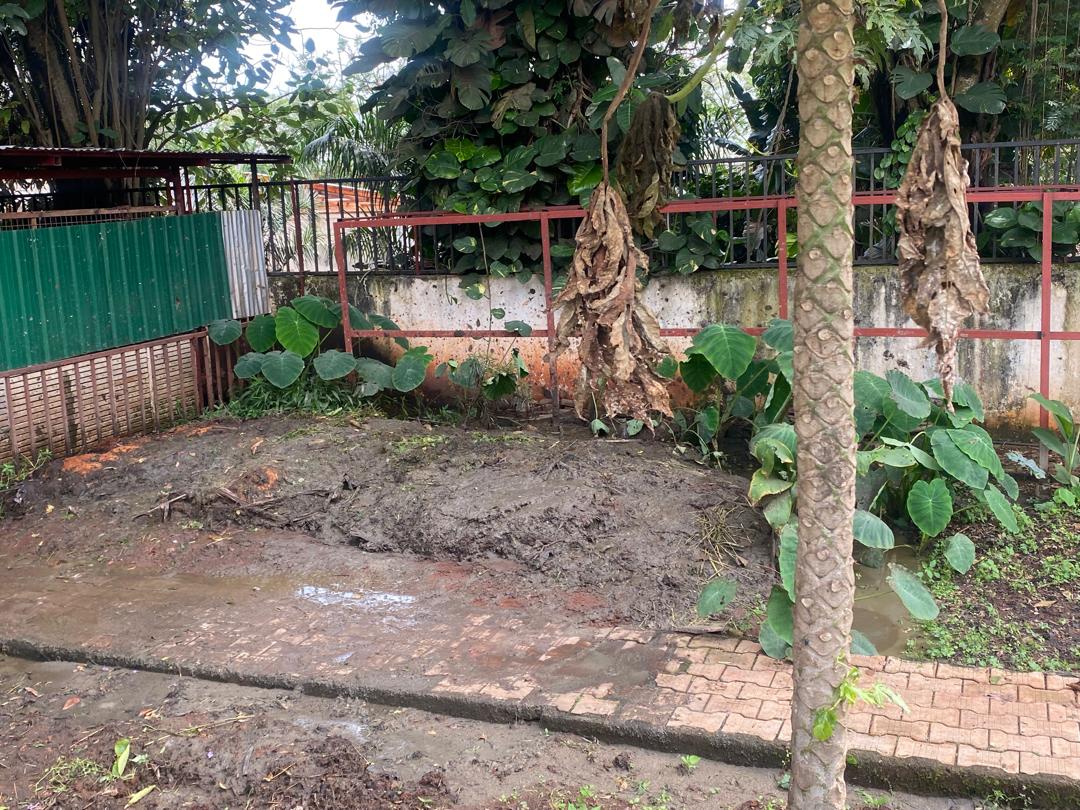 NEMA has shut down a cattle farm in Kololo after complaints about pollution, including odor and noise, with the farm owner instructed to transfer the cows and manage the waste properly.