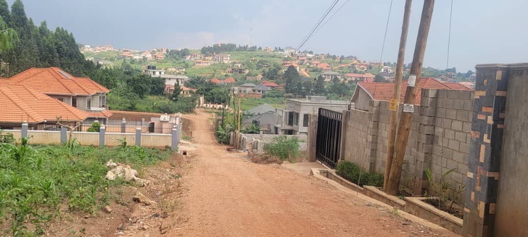 The Court of Appeal has granted Jomayi Property Consultants a temporary halt on liquidation proceedings pending the outcome of an appeal.