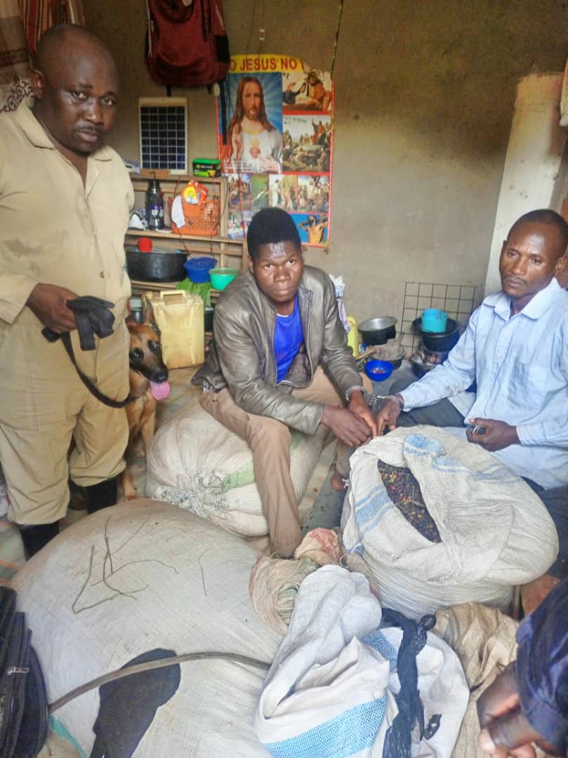 Kyankwanzi Police successfully apprehended two suspects in a coffee theft case with the assistance of a police dog, leading to the recovery of stolen beans.