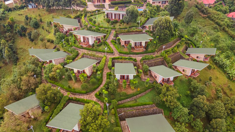 Newmark Hotels & Reserves has unveiled Gorilla Heights Lodge in Uganda’s Bwindi Impenetrable National Park, marking its return to the gorilla trekking market with a luxury, eco-friendly experience.