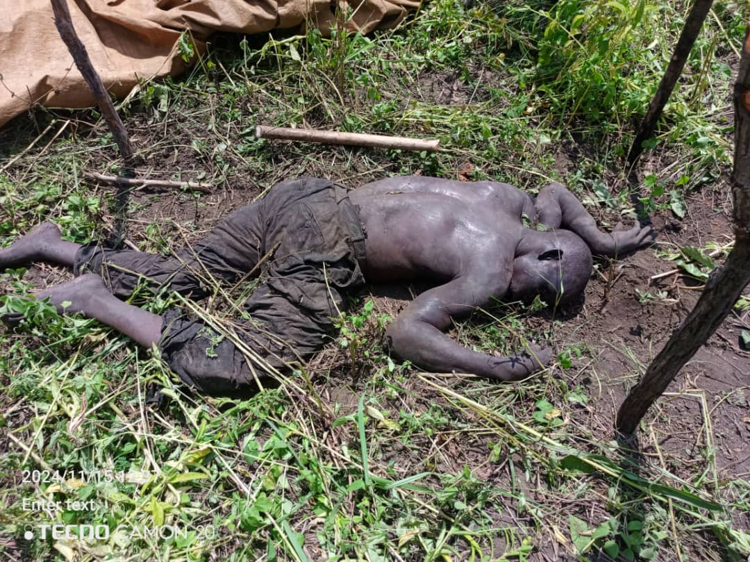 Nwoya Farmer Trampled by Elephant Near Murchison Park