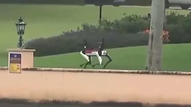 Robotic Dogs Now Patrolling Mar-a-Lago After Trump’s Election Victory