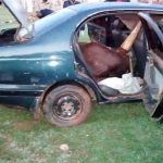 Shock as Police Officers Implicated in Organized Cattle Theft Ring