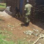 Sniffer Dog Tracks Rwampara Murder Suspect to Her Home
