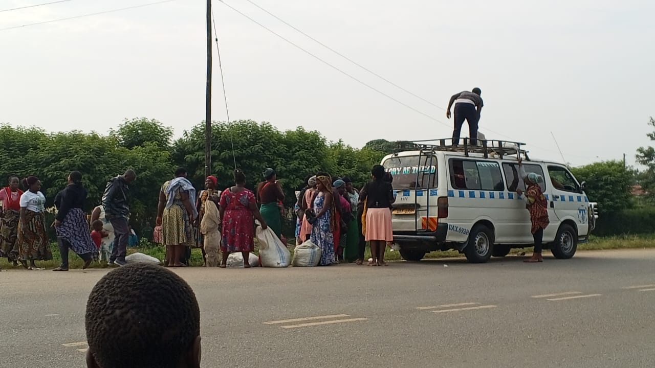 The ongoing grasshopper season in Kasese has led to overcrowding along the Kasese-Fort Portal highway, raising concerns about safety as vendors and buyers recklessly cross the road.