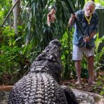 World's Largest Captive Crocodile, Cassius, Dies at 110