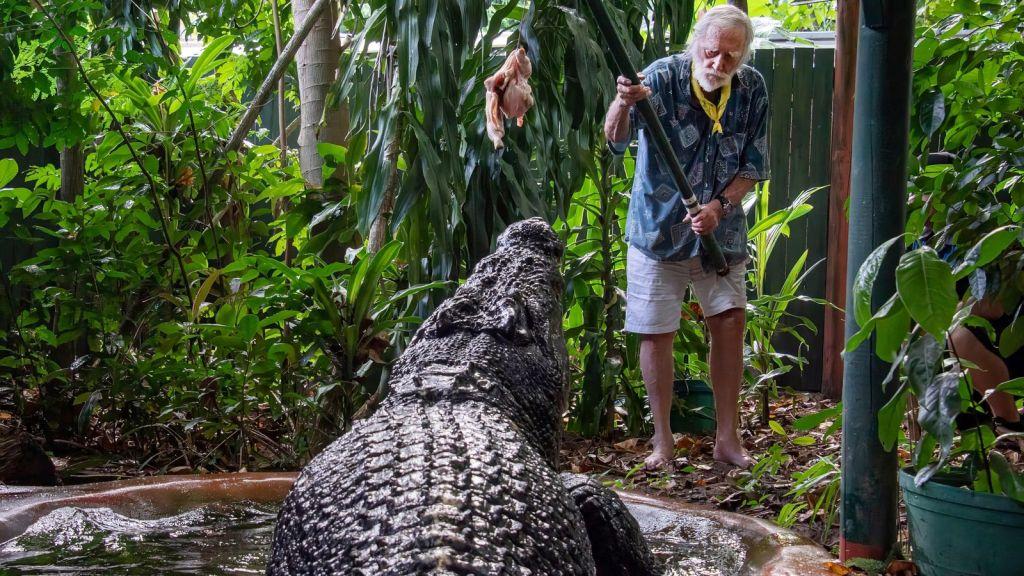 World's Largest Captive Crocodile, Cassius, Dies at 110